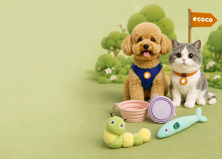 貴賓犬與英短貓戴著 e 字吊牌，身旁是折疊碗與寵物玩具