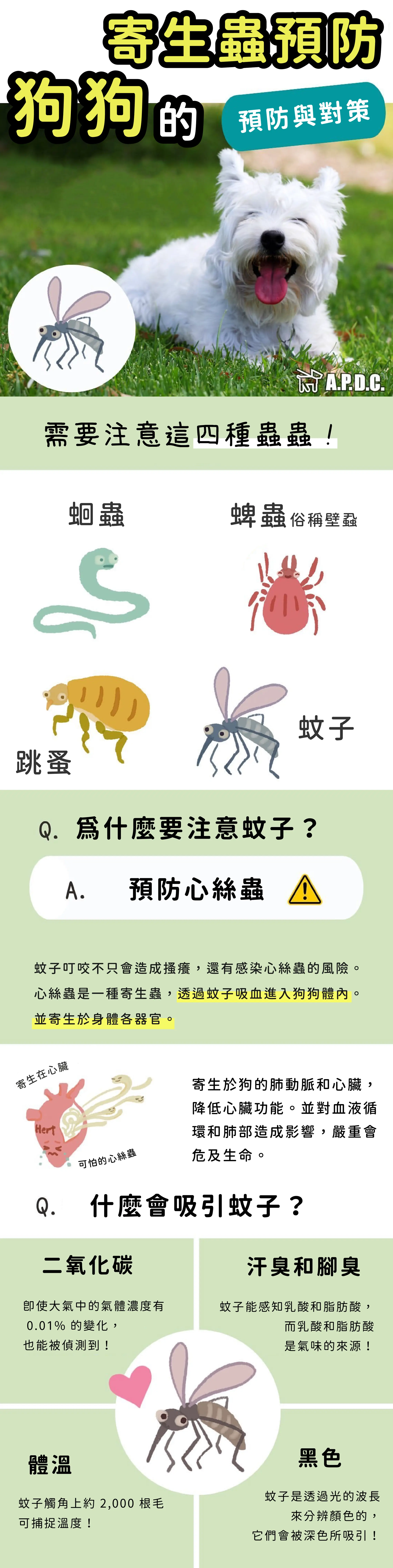 A.P.D.C. 防蚊驅蟲噴霧 商品介紹 1：狗狗寄生蟲預防說明，蛔蟲、蜱蟲、跳蚤、蚊子四種蟲害與心絲蟲風險