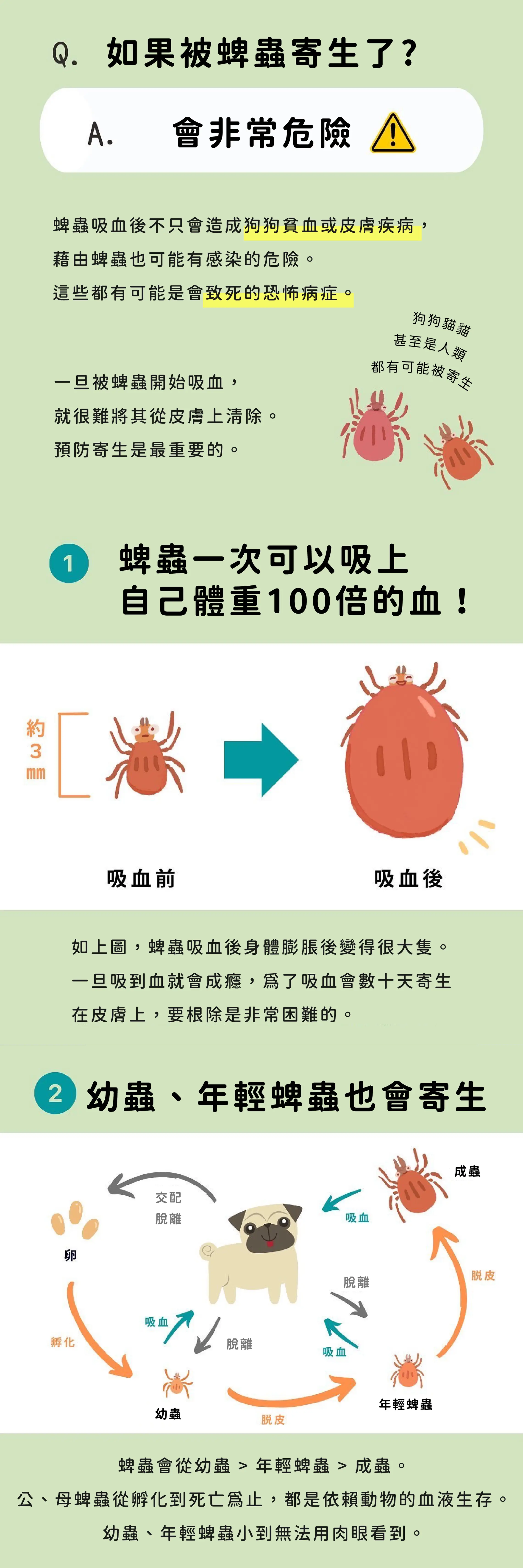 A.P.D.C. 防蚊驅蟲噴霧 商品介紹 2：蜱蟲吸血的危險性與幼蟲到成蟲的寄生過程圖解